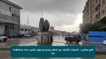 تغير مفاجئ.. الأرصاد تكشف عن أمطار رعدية وسيول تضرب عدة محافظات غدًا